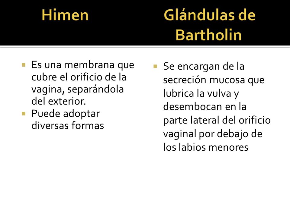 himen profesor himen profesor